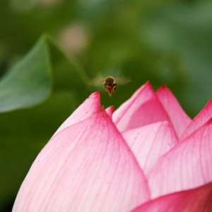 花钱还需要有智慧