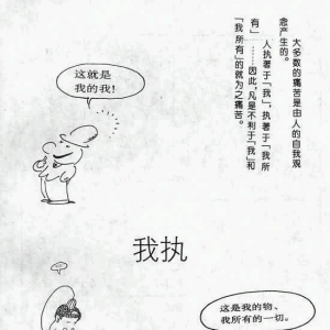 「美丽」的危险