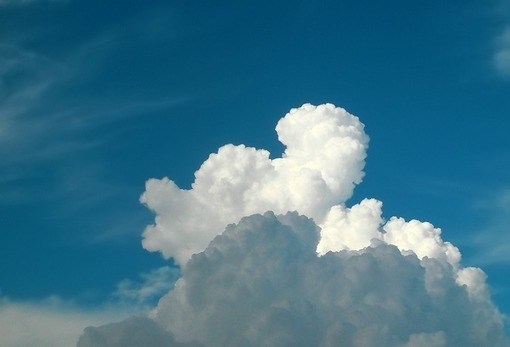 想布施，又怕失去财富