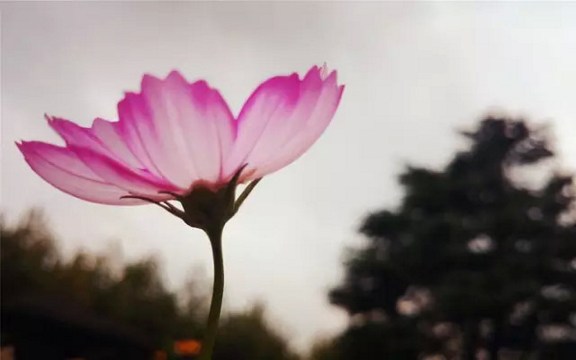 轻财,反而使自己的福报更大