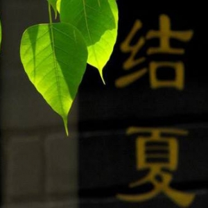 有舍方有得，财富青睐有德行之人