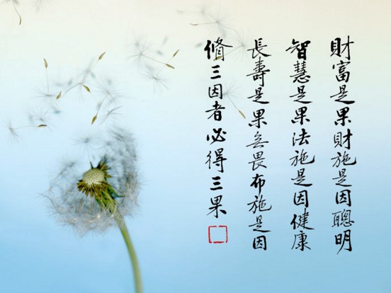 发财的因是什么