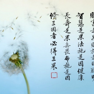 发财的因是什么