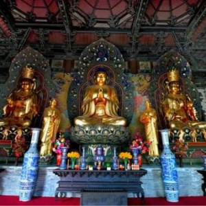 梦中家财万贯，醒时两手空空