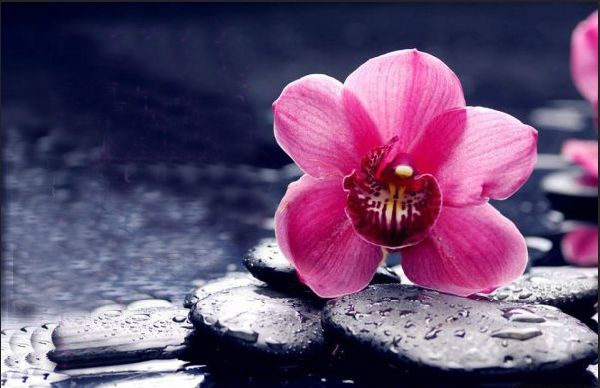 积财守财失财都是苦