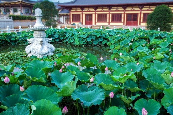 表面好像很风光，其实内心很苦