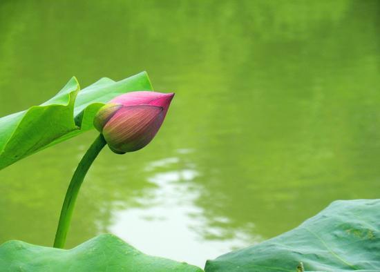 计利应计天下利,求名当求万世名