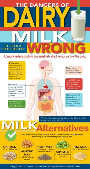揭穿5种关于牛奶的神话