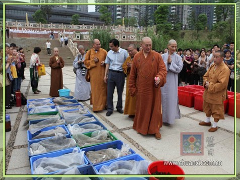 珍惜无常生命,提倡健康素食