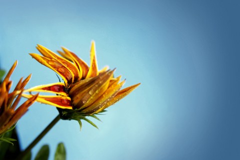 邪淫把我们逼向堕落与灭亡之路