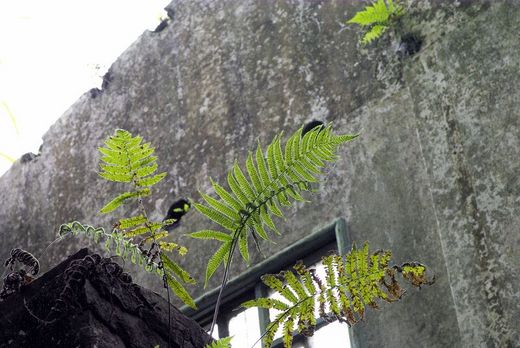 念佛行人不应沉迷在网聊和辩论上