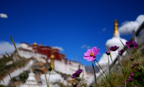 念佛人不能完全废掉兼修众善