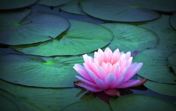 修行要找到正确的方法