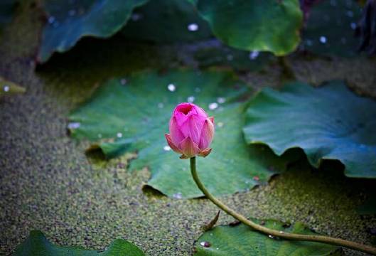 我们现在最大的盲点在哪里