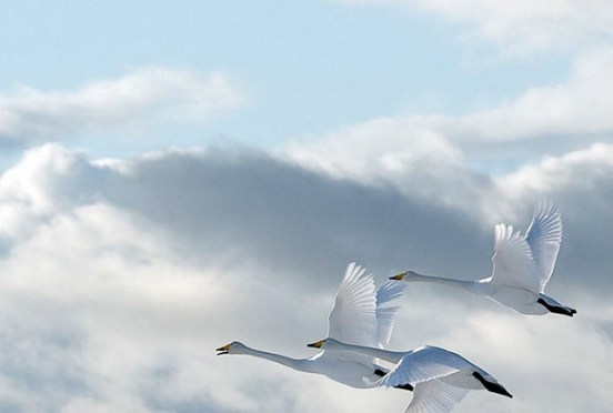 真正的修行是红尘炼心