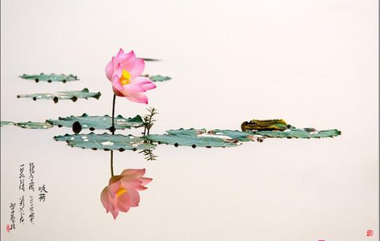 净业行人的专修与杂修