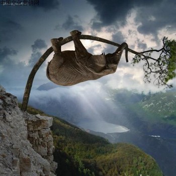 求之不得的违缘障碍