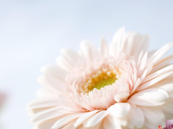 你的学佛动机是什么