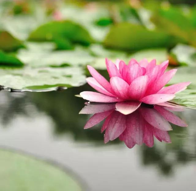 修定者必须过好「三关」