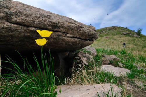 在业力的推动下，没有人是故意的