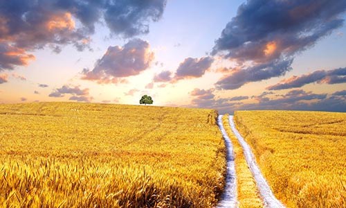 因果报应的三种形式