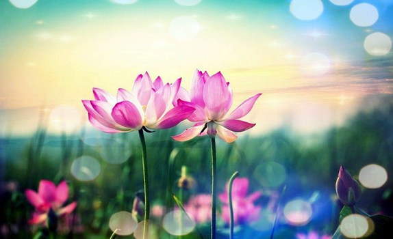 规范身口意三业