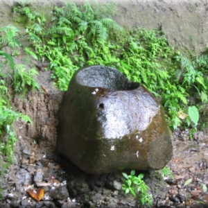 坚持为什么这么可贵