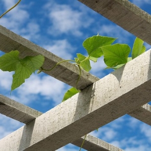 堵车时最不该做的事