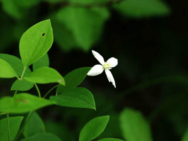 偷懒实际是损了自己的福报