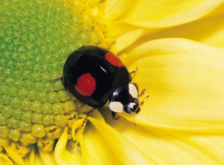 本色而脱俗是一种魅力