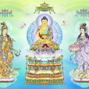 因为太相信自己，所以佛就没力