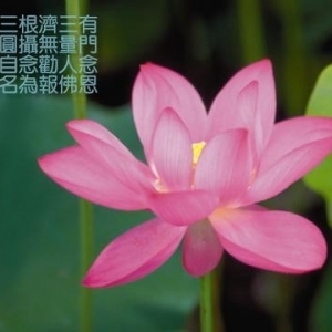 外婆的往生纪实