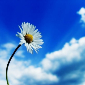 金瑞珍银楼失金复得的真实事迹