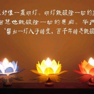 学佛之人的四种感应