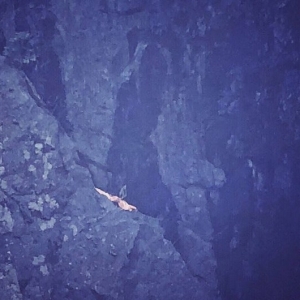 你敢信我就来——普陀山梵音洞