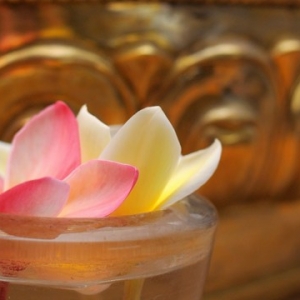 再悲惨的境况，佛力都能加被