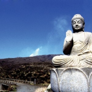 愿发得大，感应才大