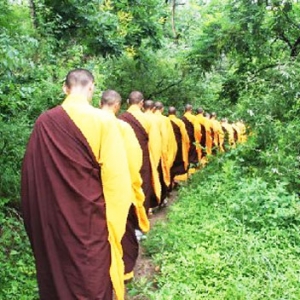 你想什么，就和什么感应