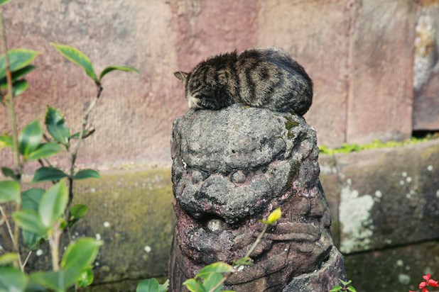 无边的生死罪业和痛苦是怎么来的