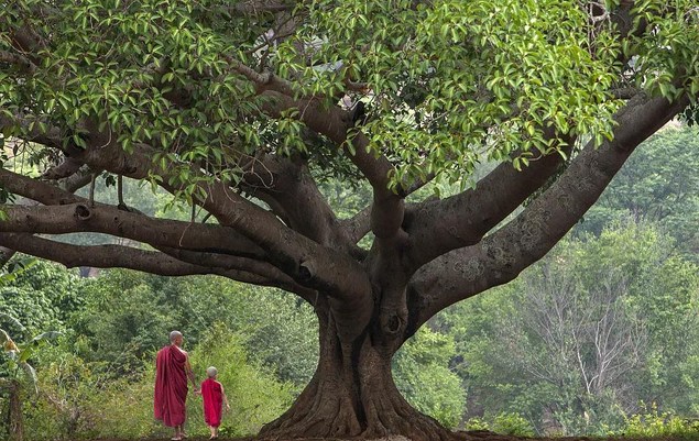 人生百病的百药对治法