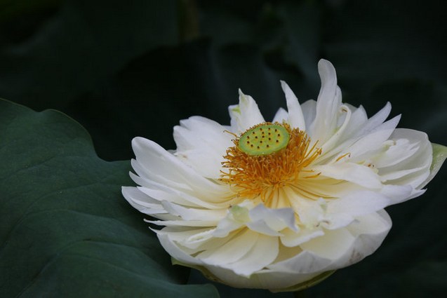 佛教讲的无我是什么意思