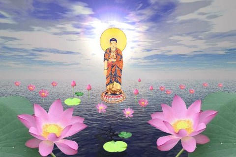 一切轮回的根本就是我们的业力