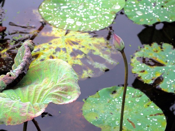 凡夫众生都有这五大难处