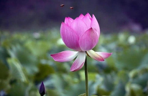 楞严咒护身符，可以随时都佩戴吗