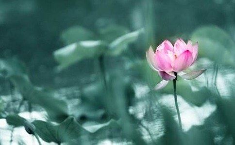 从第八识而起，又汇聚到第八识里