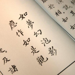 金刚经感应录：金刚神护持诵经人